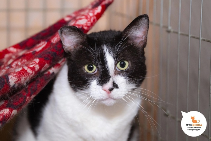   - 8 ,   .  .        - .  ,              .