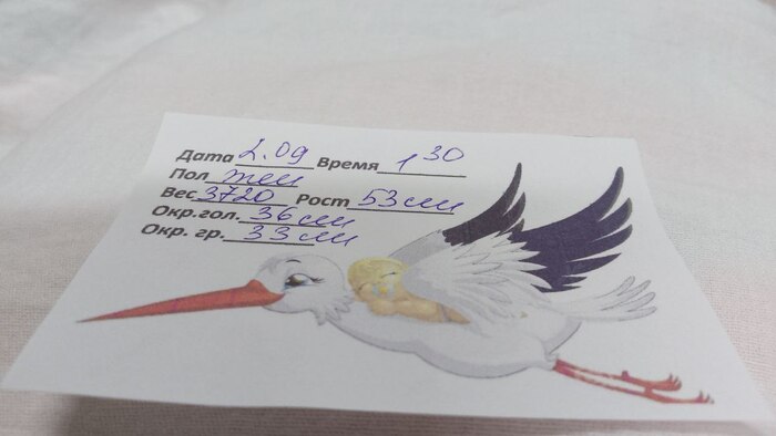 Аист прилетал)