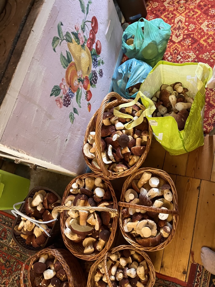 Это лишь последние 2 раза. Две корзины здесь двойные по объёму.