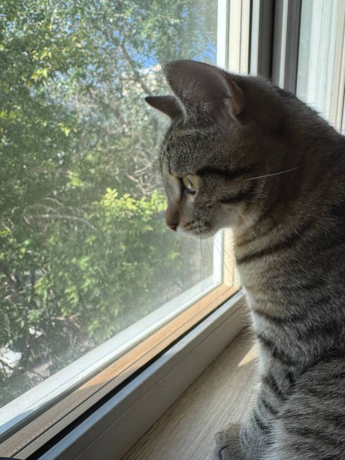 Время волшебства: что скрывал молд? Распаковываем палитру художника!