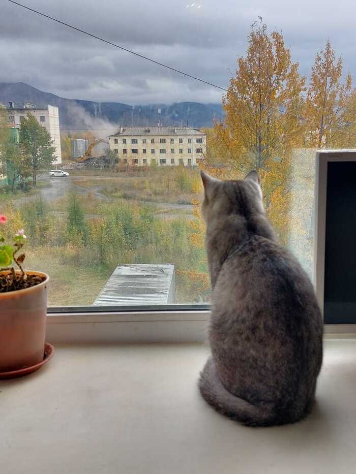  ,   , ,  