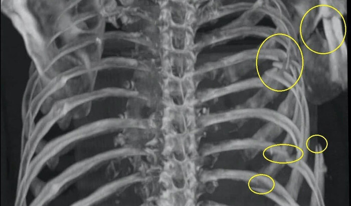 рандомное фото с тырнета