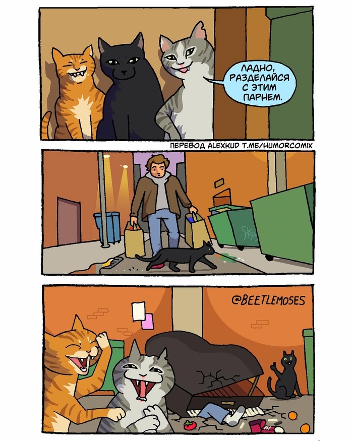    , , , ,  , , Beetlemoses