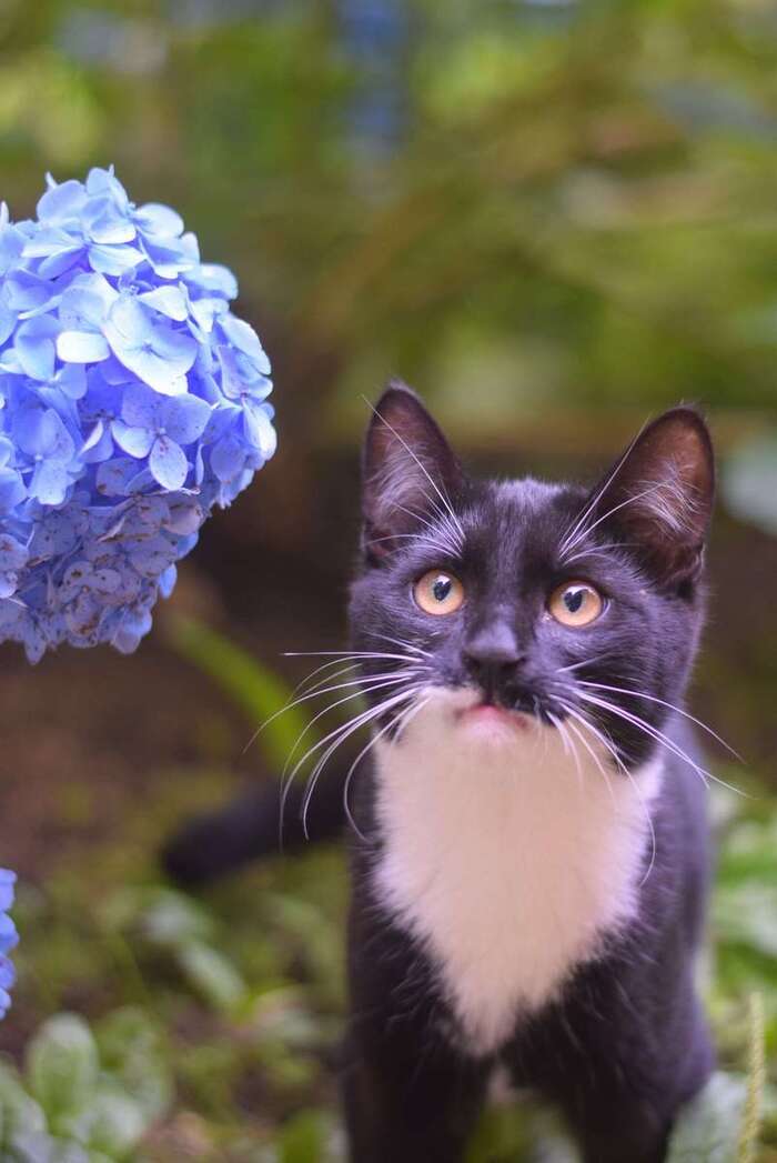     !    ,   ,  , , , 