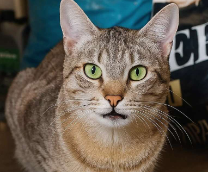 ����� � ������ ����! ������