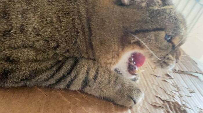  .     ,       ,      .    ,   ,    .  .       , .