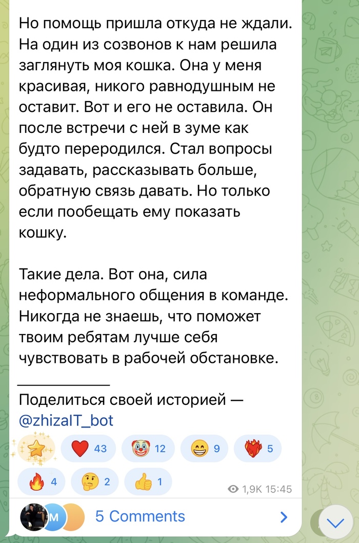       IT, ,  , ,   , , Telegram (), 