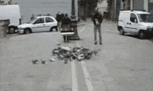       "" ,     , , ,  ,  , ,   