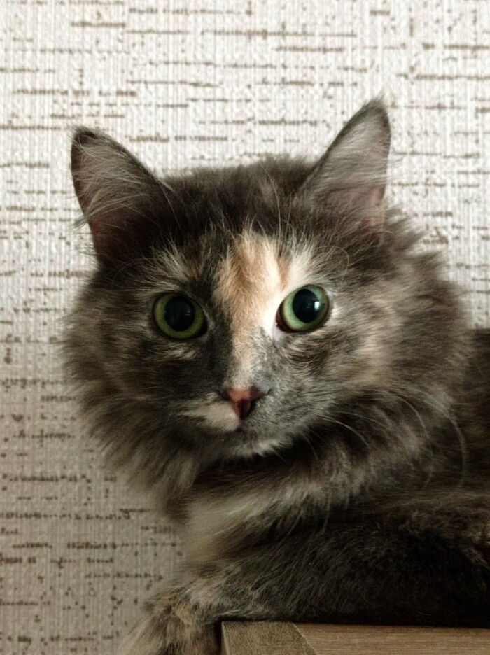     .          ,  , ,   , -,  , 