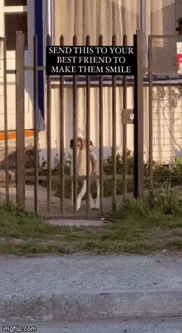   , , , 