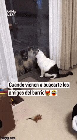   , , , 