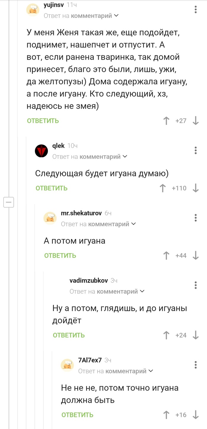   ,   , 