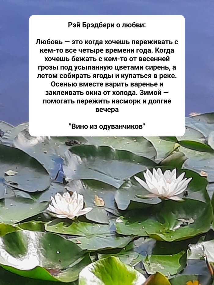   , , 