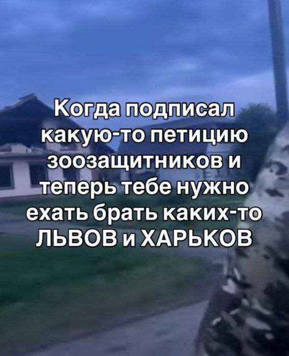  ? ,   , ,   , , 