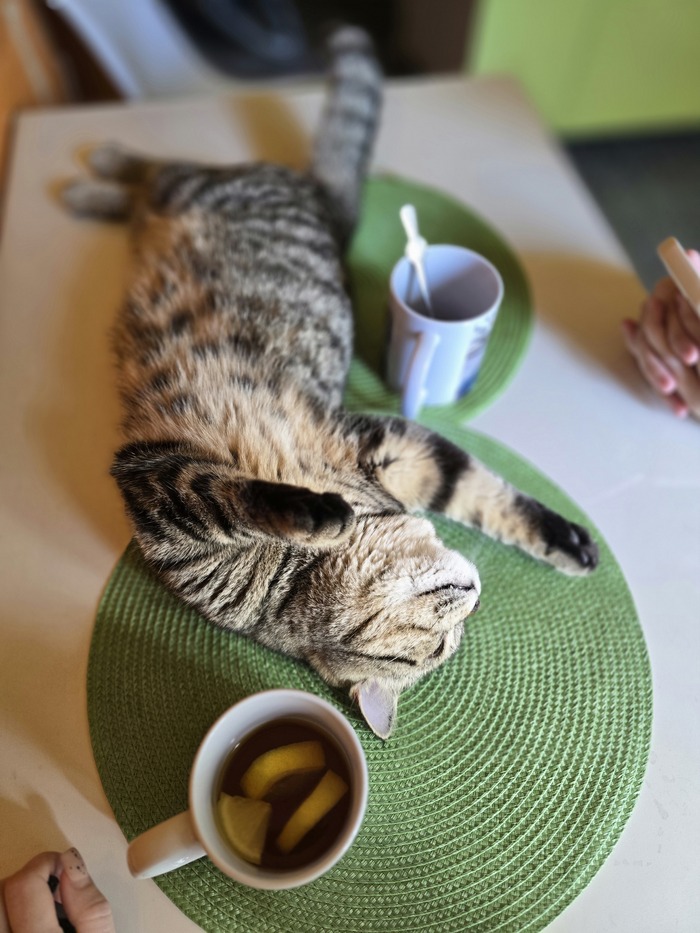 "  "    , , , , ,  , , , ,  , , 