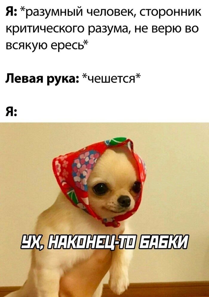  -   ,   , , , , 