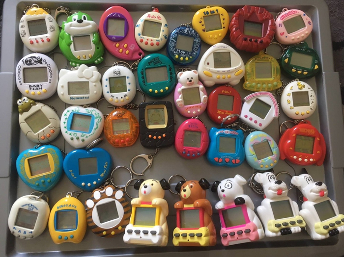 ���� �� �������� ����������