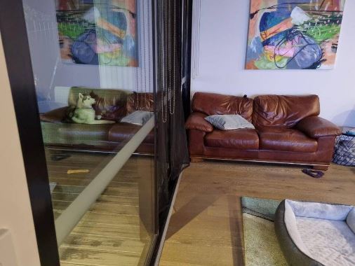 Просто призрак собаки. Что не так?