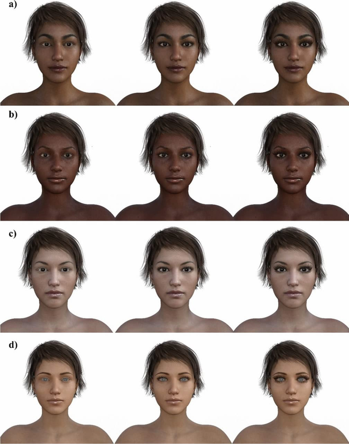 Примеры изображений женских лиц с разным размером ресниц / © Pazhoohi F., Archives of Sexual Behavior (2025)