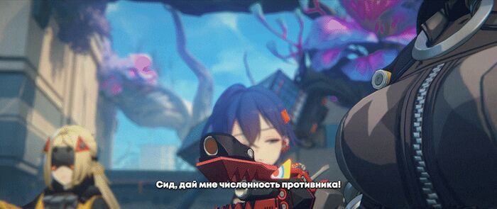 , Zenless Zone Zero, Belle (zzz), Seed (zzz), , 