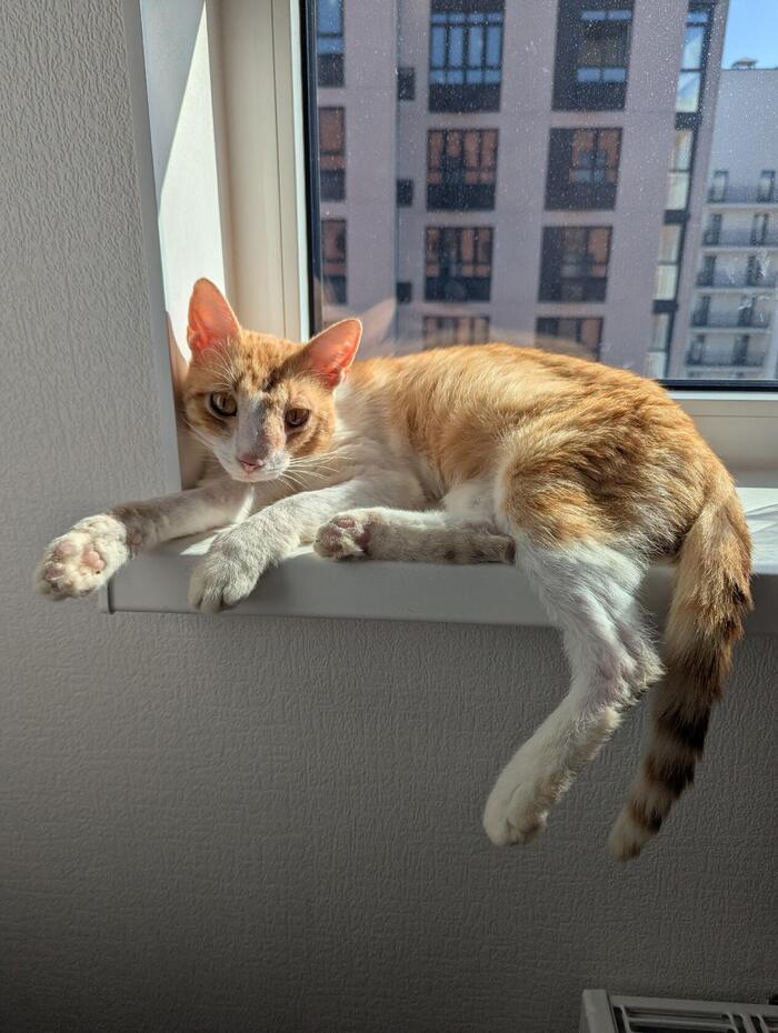     " . .    "  , , ,  ,  ,  , 