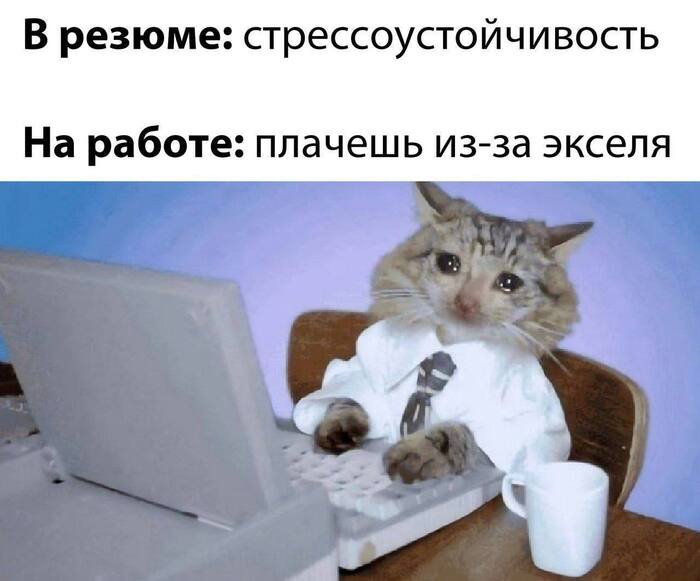    , , ,   , AliExpress,  , 