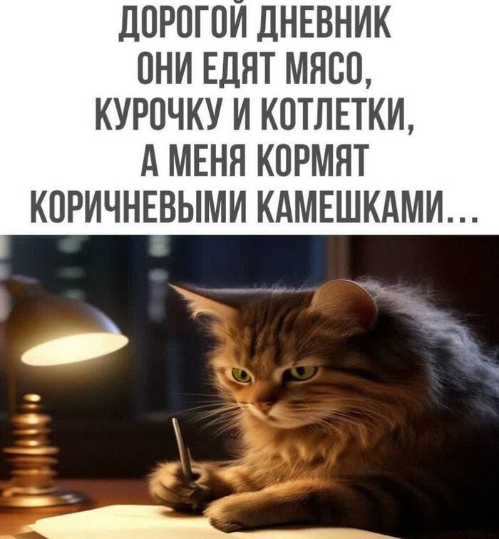  , , Telegram ()
