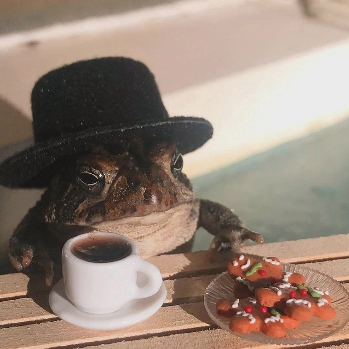   , It Is Wednesday My Dudes, , , 