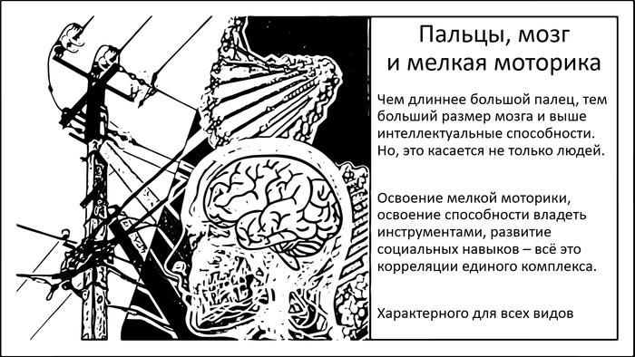    ,    , , , ,  , , 