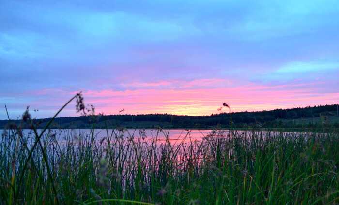 �� ������� ���� �� ������� �������� ���� ���������� - ����� �����