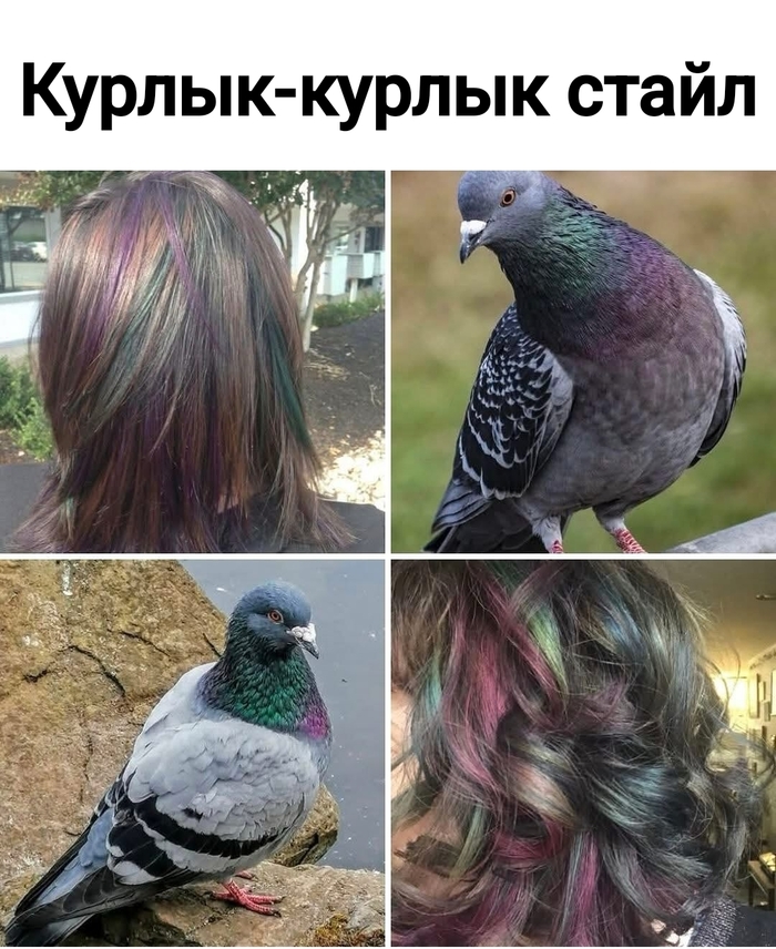    ,   , Telegram (), , 