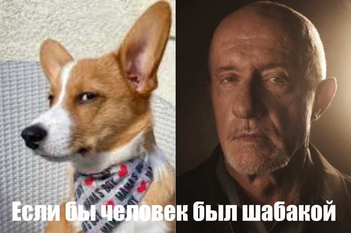    , -