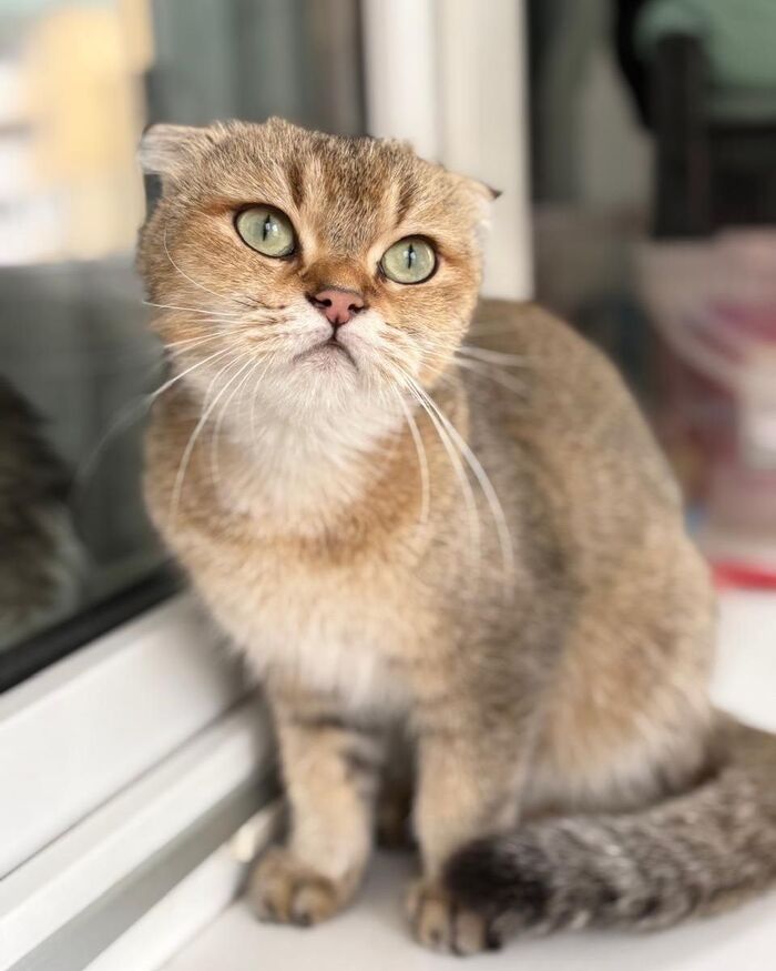     ! ,  ,   , ,  , ,  , ,   ,  ,  , ,  ,  ,  ,   , 