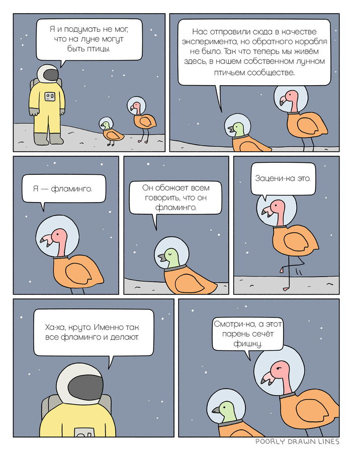     , Poorly Drawn Lines, 