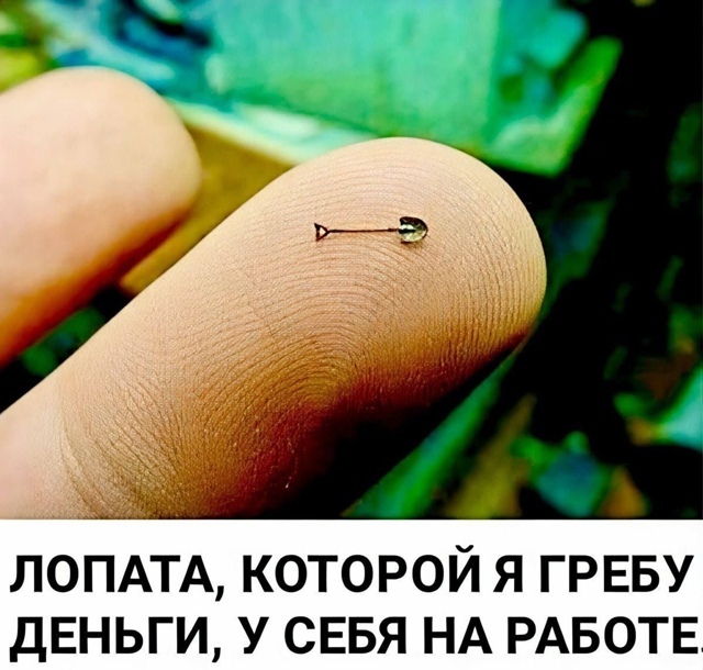   ... Telegram (),   , , 