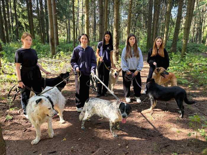 И сосновый бор)