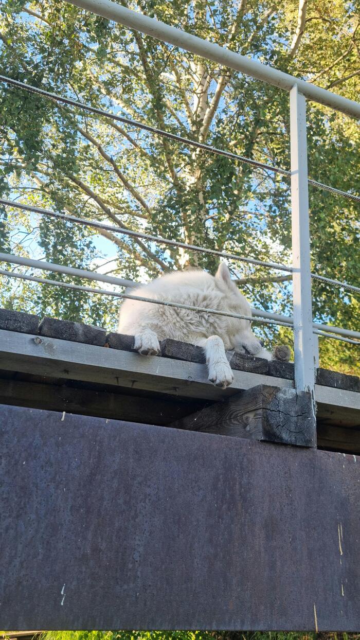  - ! ,             .   !