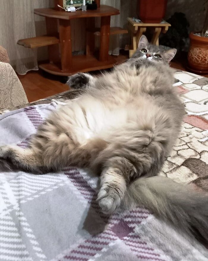    , , , , , , , ,  