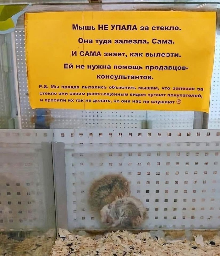  , , ,  ,  ,  