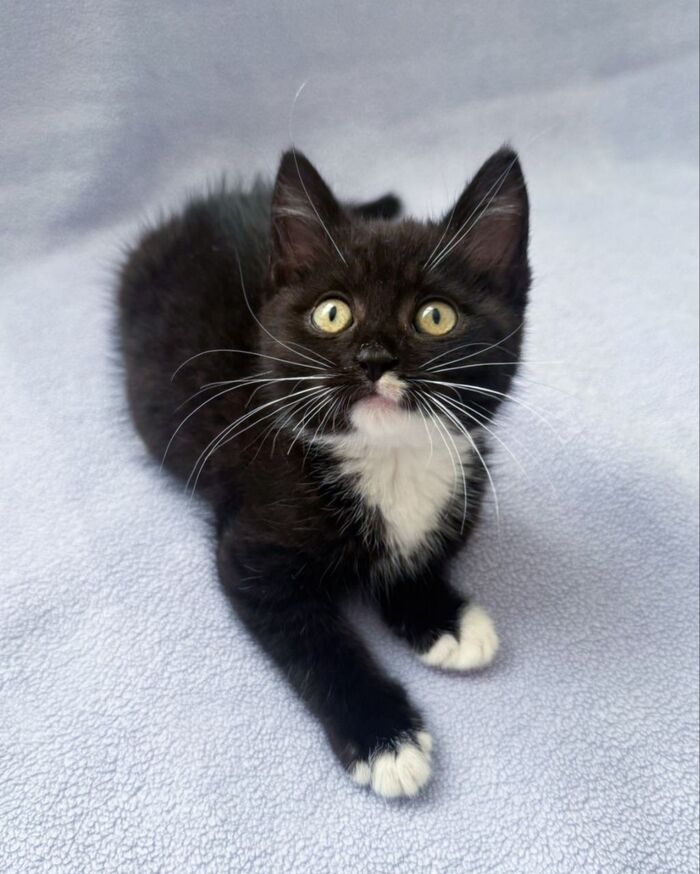    ! ,  ,   , , ,  , ,  ,  ,  , ,   ,  ,  , ,  , 
