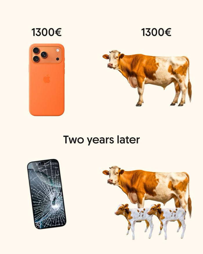   , iPhone, ,   