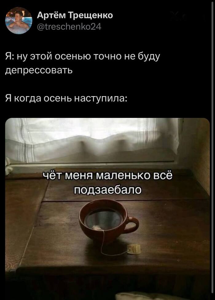     ? , X (Twitter),  ,   , , , , 