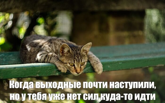      -,    ?!
