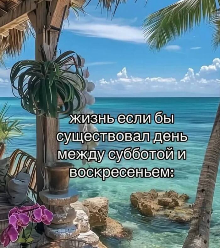  , , , , Telegram ()