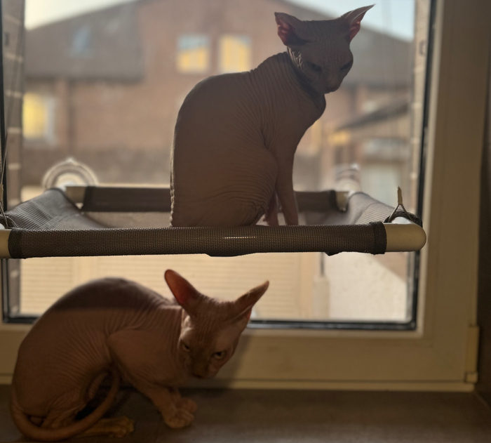      , , ,  ,    , ,  , 