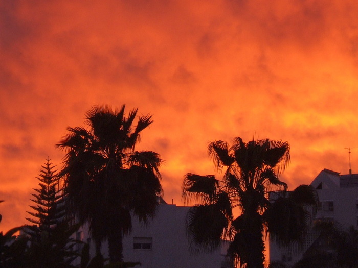 Продолжение поста «Кровавый закат»