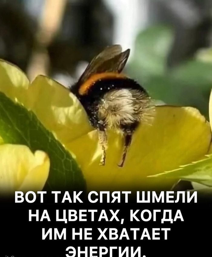     ? , , , , , ,   , , , , ,  