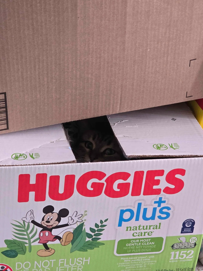      , , , Huggies
