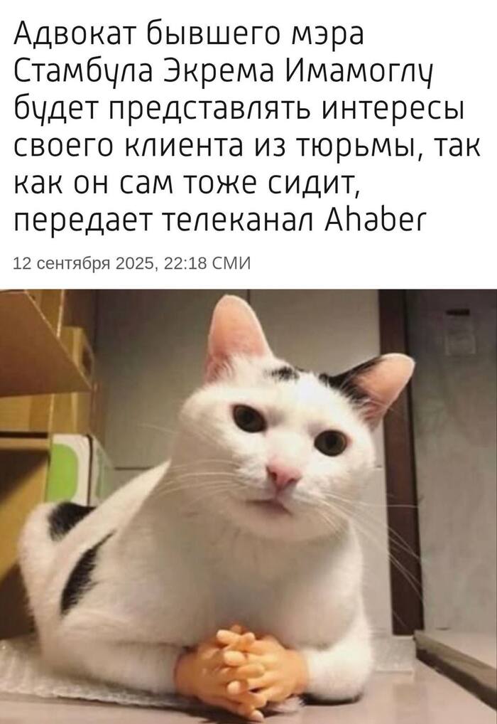  , , , , , , , , Telegram ()