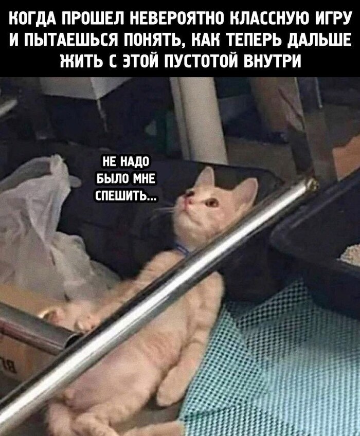    ... , , ,  ,  